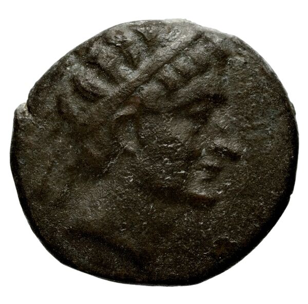 аверс Seleucid Coins (part 1) 792