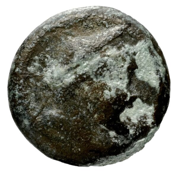 аверс Seleucid Coins (part 1) 798
