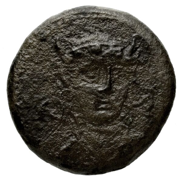 аверс Seleucid Coins (part 1) 800