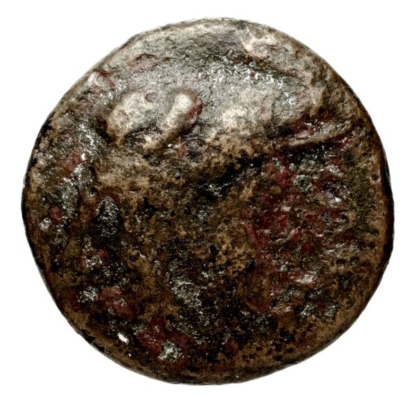 Seleucid Coins (part 1) 189.1, аверс, bnf-hrc