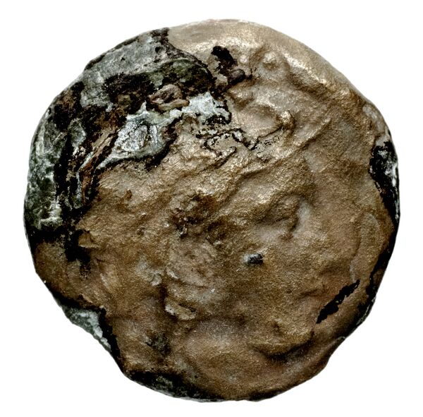 Seleucid Coins (part 1) 189.1, аверс, bnf-hrc