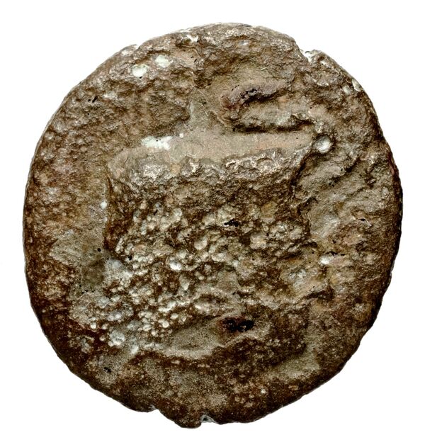 Seleucid Coins (part 1) 189.1, аверс, bnf-hrc