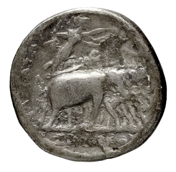 реверс Seleucid Coins (part 1) 131.9a