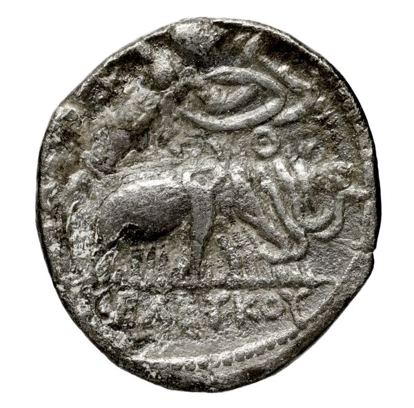 Seleucid Coins (part 1) 131, реверс, bnf-hrc