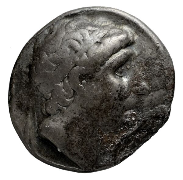 аверс Seleucid Coins (part 1) 379.3
