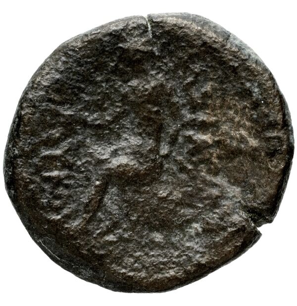 реверс Seleucid Coins (part 1) 803