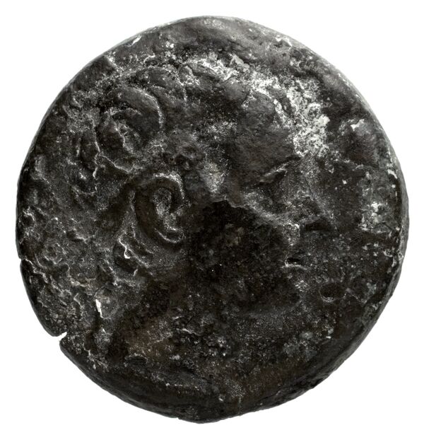 аверс Seleucid Coins (part 1) 1171