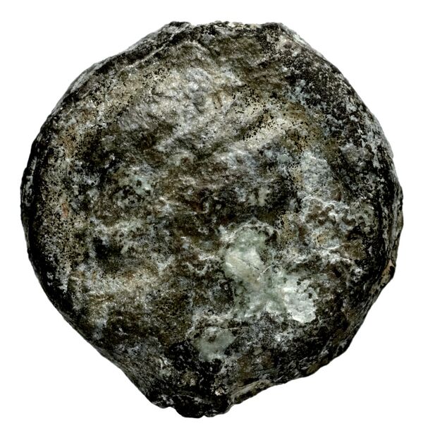 obverse Seleucid Coins (part 1) 1203