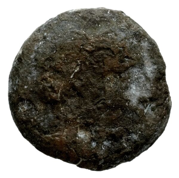 Seleucid Coins (part 1) 1203, аверс, bnf-hrc