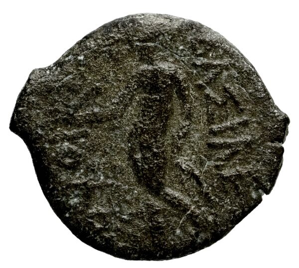 Seleucid Coins (part 1) 1202, reverse, bnf-hrc