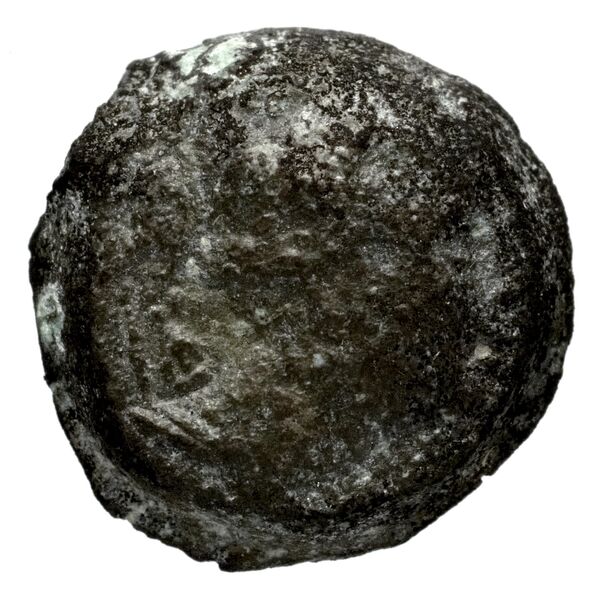аверс Seleucid Coins (part 1) 1181.2
