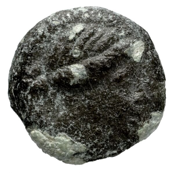 Seleucid Coins (part 1) 1181.2, аверс, bnf-hrc