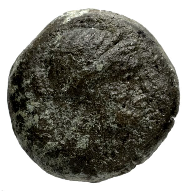 Seleucid Coins (part 1) 1181, аверс, bnf-hrc