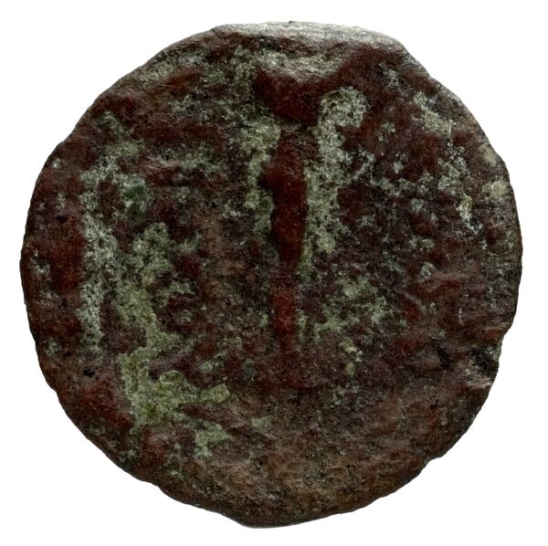 Seleucid Coins (part 1) 1181, реверс, bnf-hrc