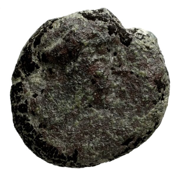 Seleucid Coins (part 1) 1181, аверс, bnf-hrc