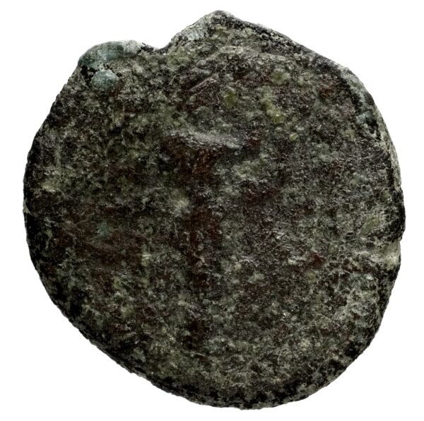 Seleucid Coins (part 1) 1181, реверс, bnf-hrc