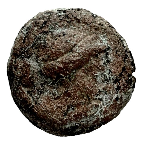 Seleucid Coins (part 1) 1181, аверс, bnf-hrc