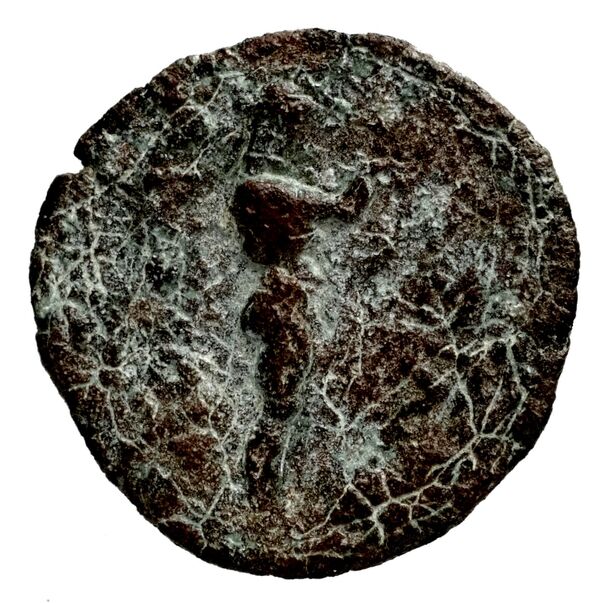 Seleucid Coins (part 1) 1181, реверс, bnf-hrc
