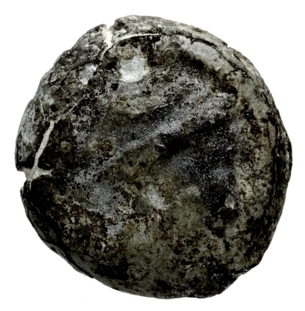Seleucid Coins (part 1) 1181, аверс, bnf-hrc