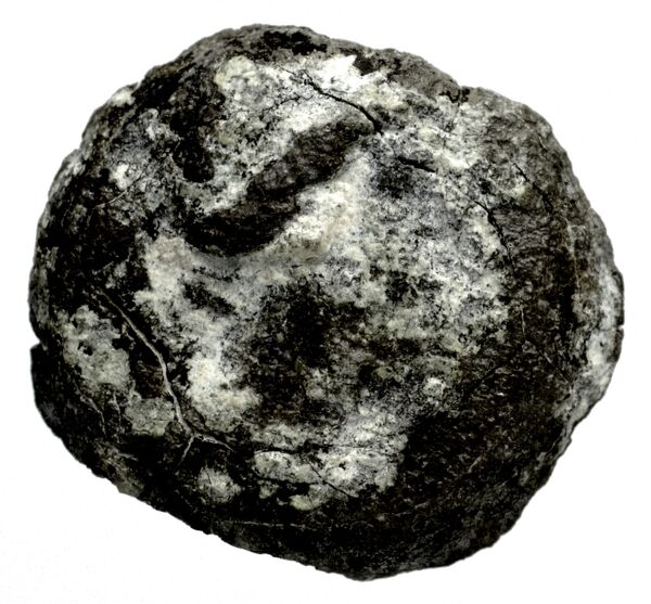 Seleucid Coins (part 1) 1181.2, аверс, bnf-hrc