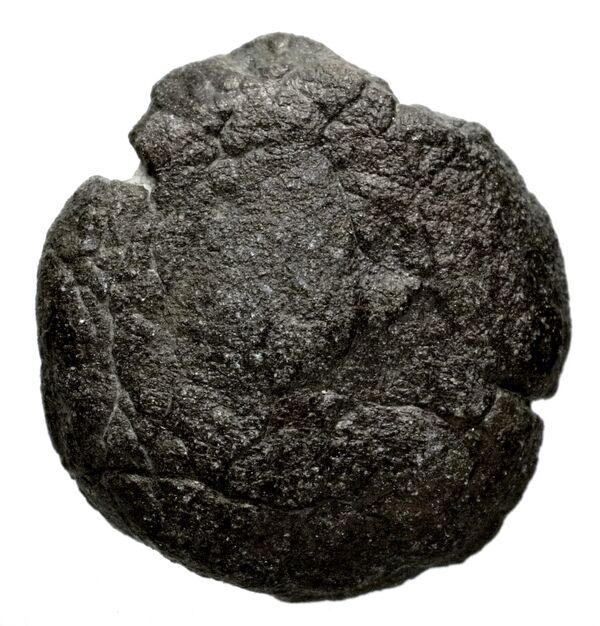 Seleucid Coins (part 1) 1182, аверс, bnf-hrc