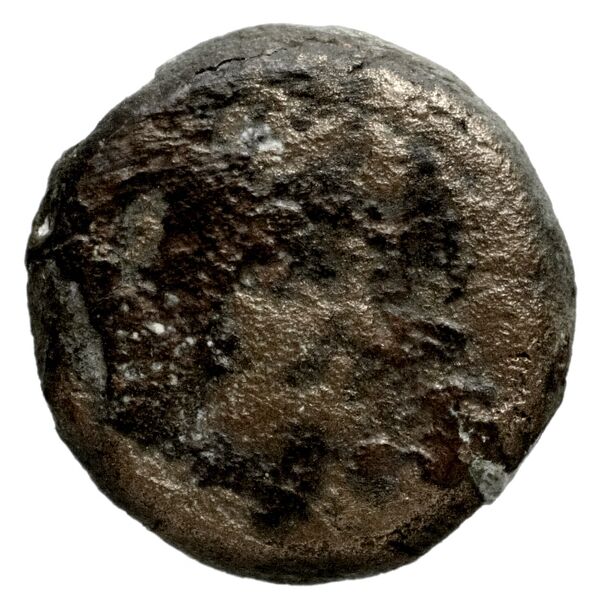 Seleucid Coins (part 1) 1182, аверс, bnf-hrc
