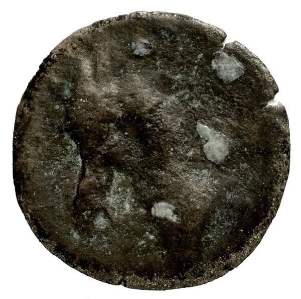 Seleucid Coins (part 1) 1182, реверс, bnf-hrc