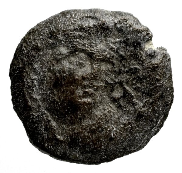 Seleucid Coins (part 1) 1182, аверс, bnf-hrc
