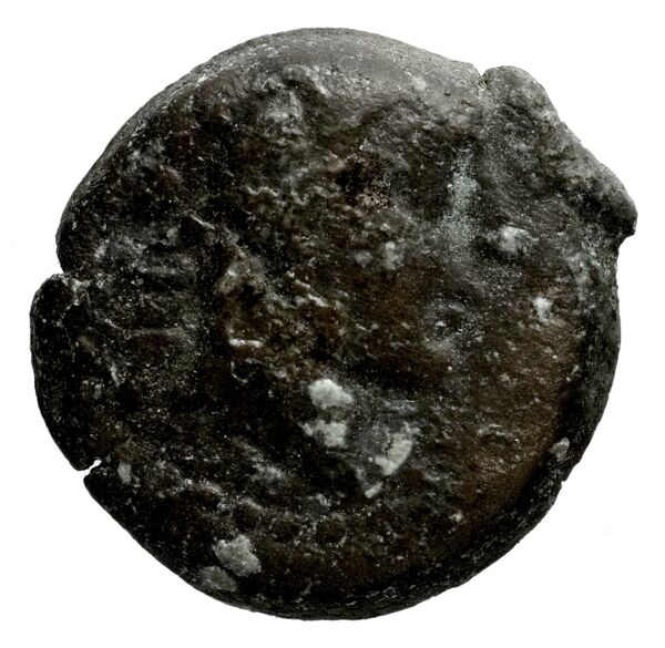 Seleucid Coins (part 1) 1185, аверс, bnf-hrc