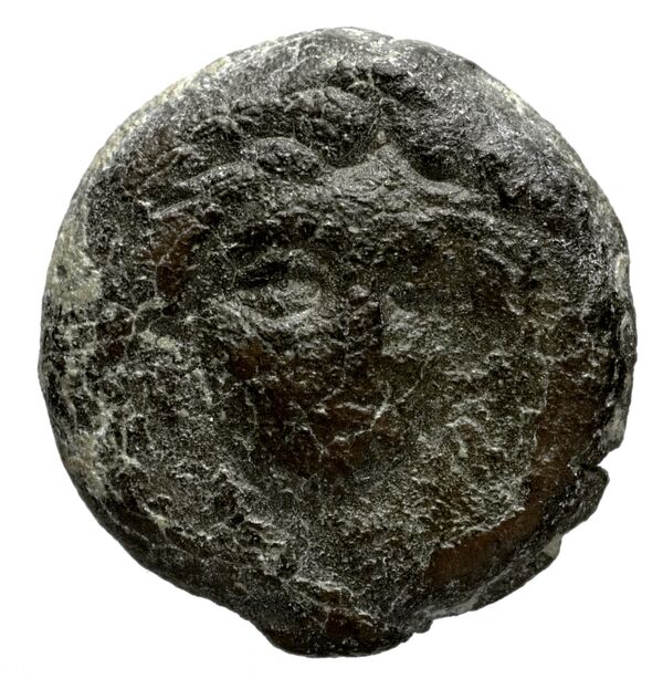 аверс Seleucid Coins (part 1) 1186