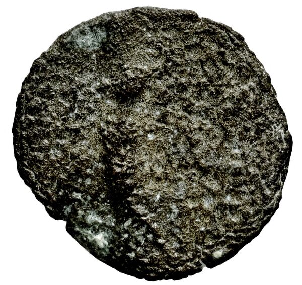 Seleucid Coins (part 1) 1198, реверс, bnf-hrc