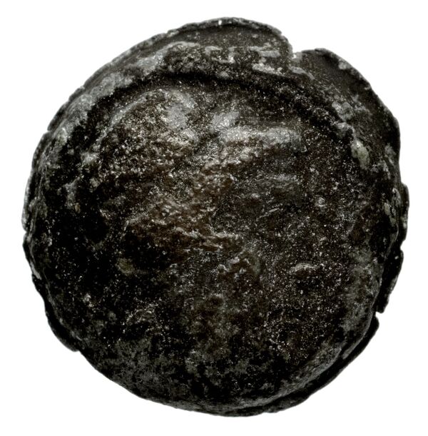 аверс Seleucid Coins (part 1) 1198