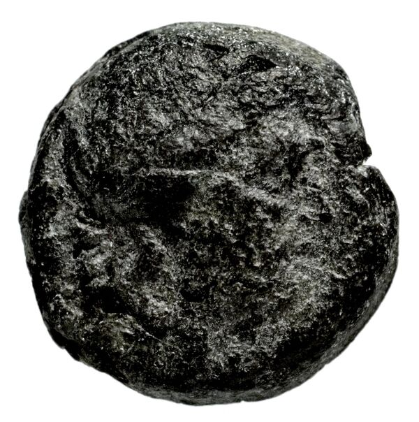 Seleucid Coins (part 1) 1198, аверс, bnf-hrc