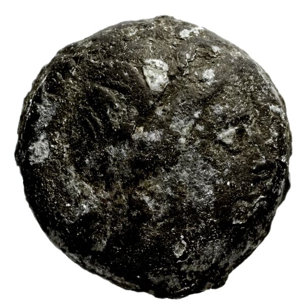 Seleucid Coins (part 1) 1198, аверс, bnf-hrc