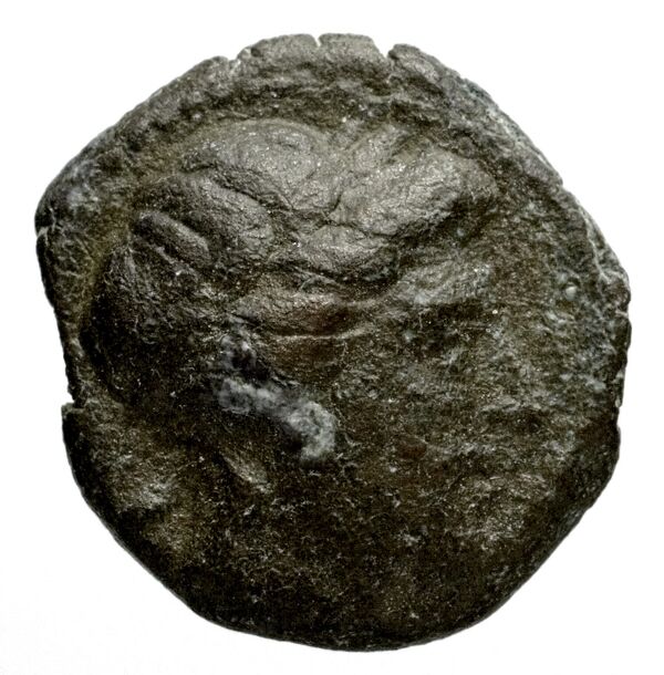 Seleucid Coins (part 1) 1198, аверс, bnf-hrc