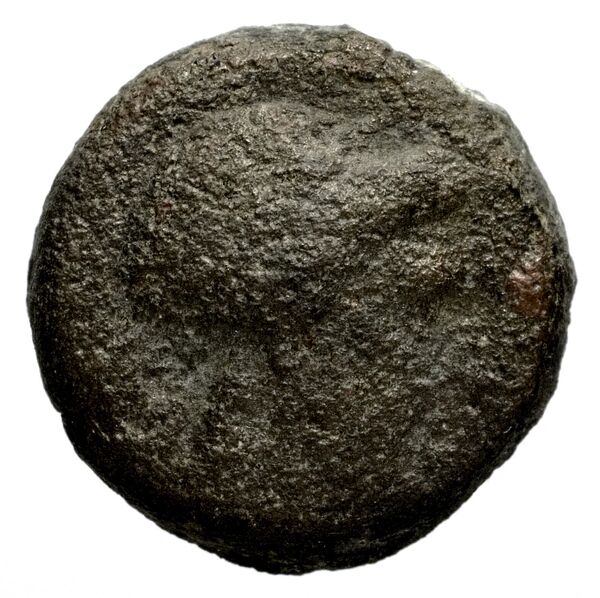 Seleucid Coins (part 1) 1198, аверс, bnf-hrc