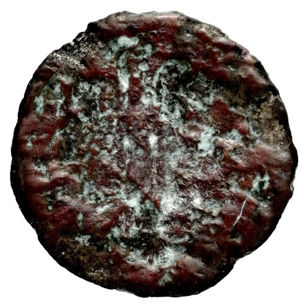 Seleucid Coins (part 1) 1188, реверс, bnf-hrc