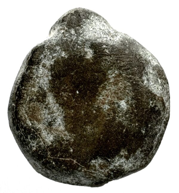 Seleucid Coins (part 1) 1188, аверс, bnf-hrc