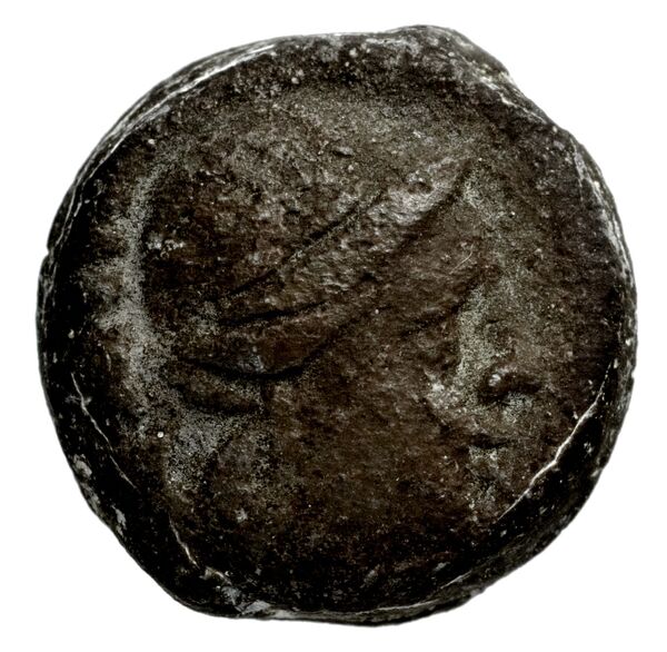 Seleucid Coins (part 1) 1191, аверс, bnf-hrc
