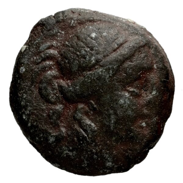 Seleucid Coins (part 1) 1191, аверс, bnf-hrc