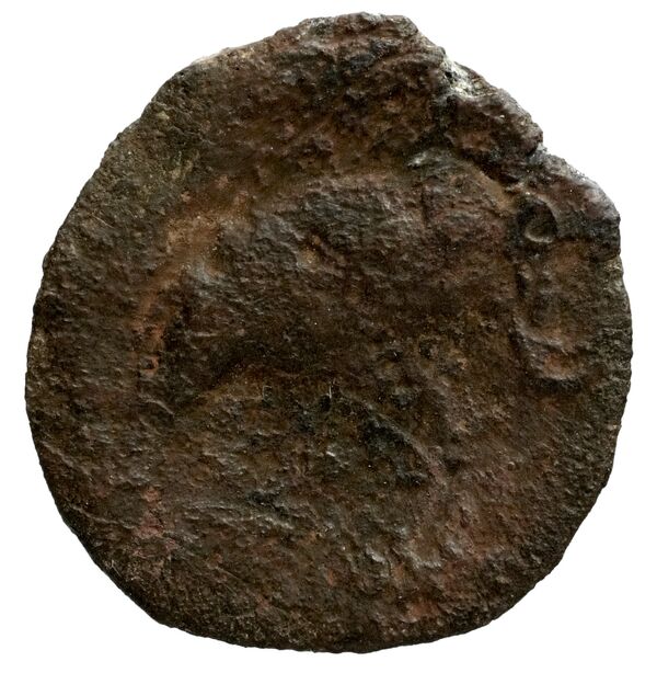 Seleucid Coins (part 1) 1191, реверс, bnf-hrc