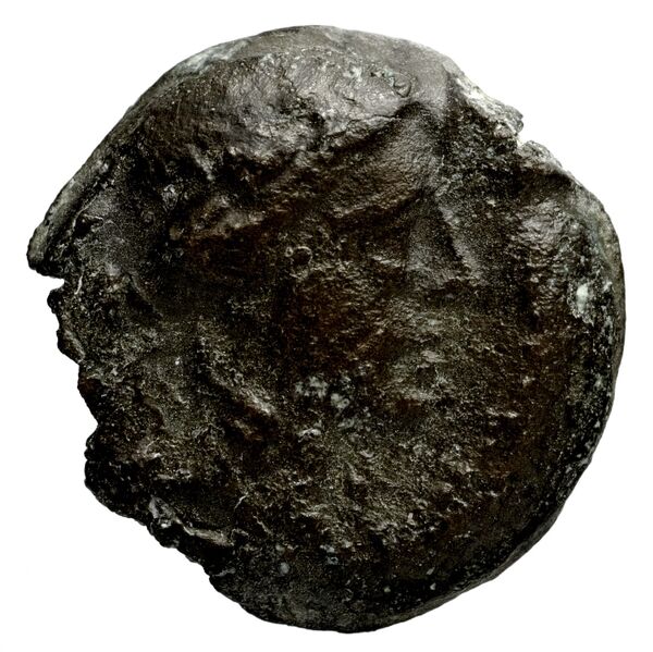 аверс Seleucid Coins (part 1) 1191