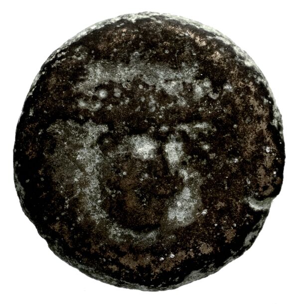 Seleucid Coins (part 1) 1193, аверс, bnf-hrc