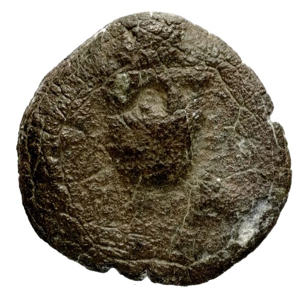 Seleucid Coins (part 1) 1193, аверс, bnf-hrc