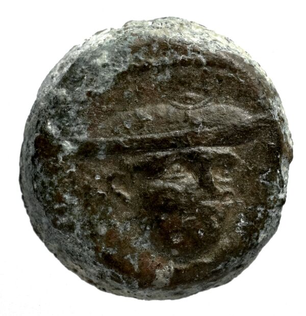 Seleucid Coins (part 1) 1193, аверс, bnf-hrc