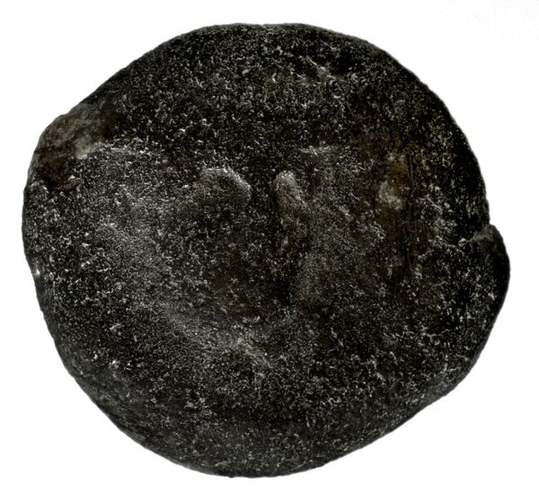 Seleucid Coins (part 1) 1193, аверс, bnf-hrc