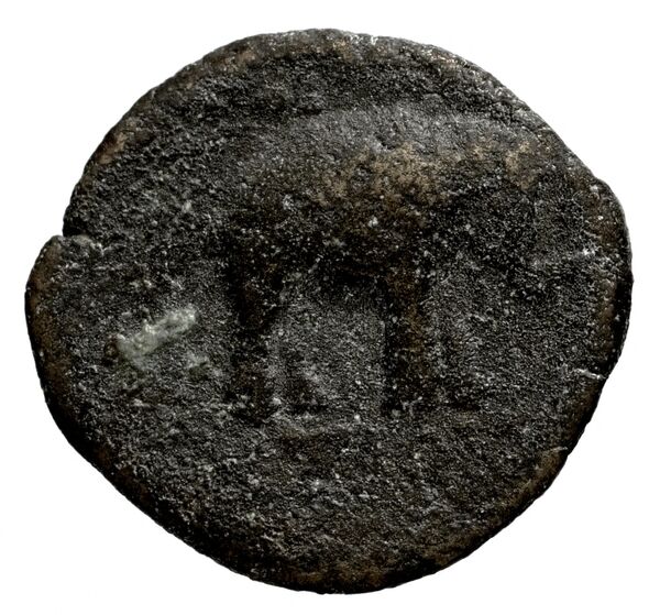 Seleucid Coins (part 1) 1193, реверс, bnf-hrc