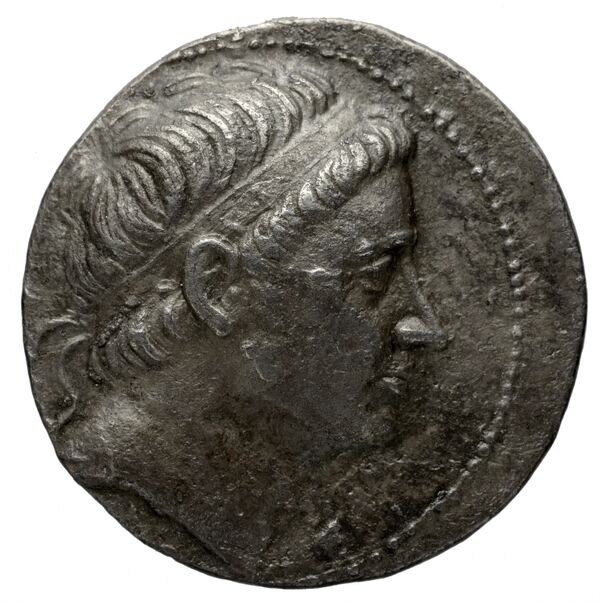 аверс Seleucid Coins (part 1) 1206