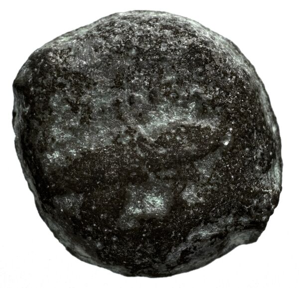 Seleucid Coins (part 1) 1192.2, аверс, bnf-hrc