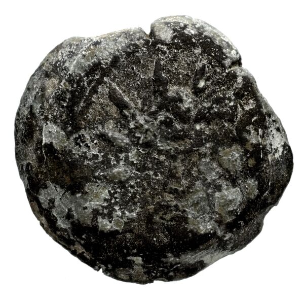 Seleucid Coins (part 2) 1336.1a, аверс, bnf-hrc
